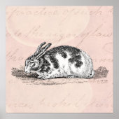  Bunny Rabbit Illustration - 1800 konijnen Poster (Voorkant)