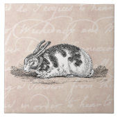 Bunny Rabbit Illustration - 1800 konijnen Tegeltje (Voorkant)