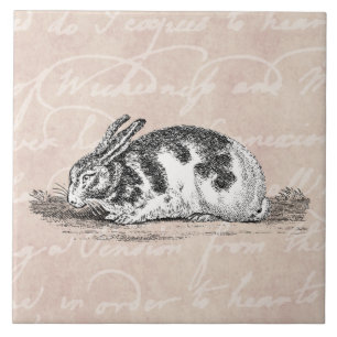  Bunny Rabbit Illustration - 1800 konijnen Tegeltje