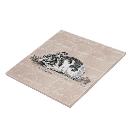 Bunny Rabbit Illustration - 1800 konijnen Tegeltje (Zijkant)