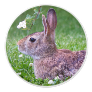Bunny Rabbit in Grass Animal Natuur Photography Keramische Knop