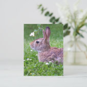 Bunny Rabbit in Grass Animal Photography Briefkaart (Staand voorkant)