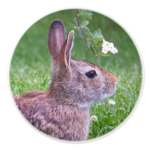 Bunny Rabbit in Grass Animal Photography Keramische Knop (Voorkant)