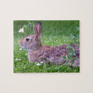 Bunny Rabbit in Grass Closeup Foto Legpuzzel
