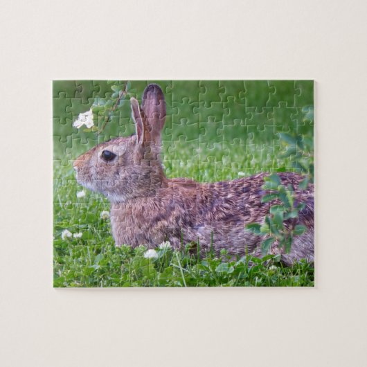 Bunny Rabbit in Grass Closeup Foto Legpuzzel (Horizontaal)