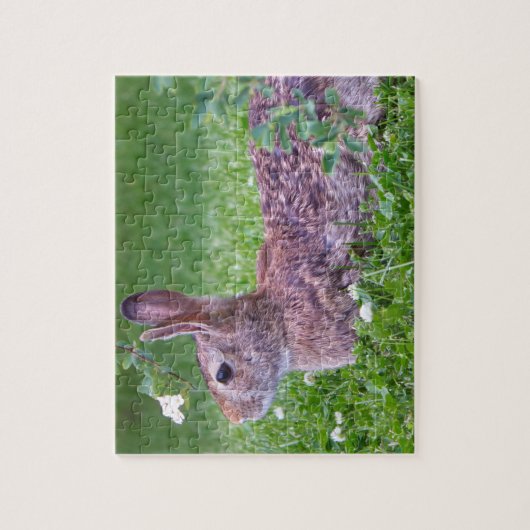 Bunny Rabbit in Grass Closeup Foto Legpuzzel (Verticaal)