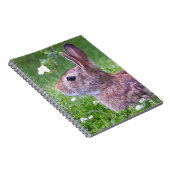 Bunny Rabbit in Grass Spring Animal Photography Notitieboek (Rechterzijde)