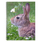 Bunny Rabbit in Grass Spring Animal Photography Notitieboek (Voorkant)