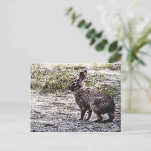 Bunny Rabbit in the Wild Briefkaart (Staand voorkant)