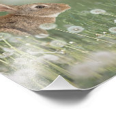 Bunny Rabbit in Zitting in Dandelion Field Girls R Foto Afdruk (Hoek)