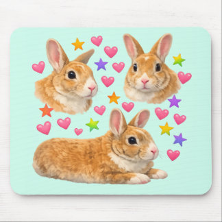 bunny rabbit kawaii cute rainbow pet mom muismat