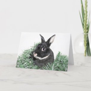 Bunny rabbit kerst feestdagen kaart