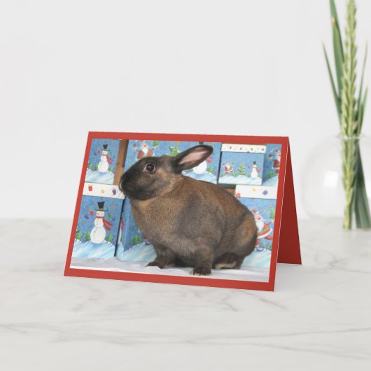 Bunny Rabbit Kerstmis met Sneeuwman Vakantie Dozen Feestdagen Kaart (Voorkant)