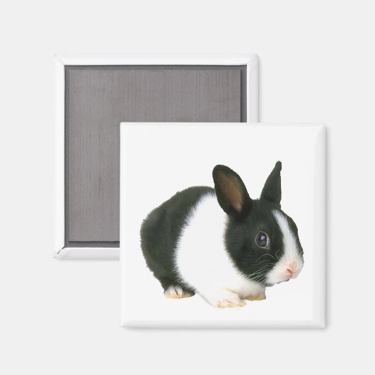 Bunny Rabbit Magnet (Voorkant / Achterkant)