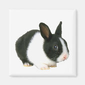 Bunny Rabbit Magnet (Voorkant)