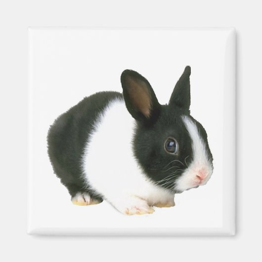 Bunny Rabbit Magnet (Voorkant)