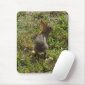 Bunny Rabbit Muismat (Met muis)