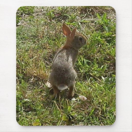 Bunny Rabbit Muismat (Voorkant)