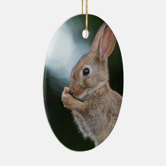 Bunny Rabbit Natuur Foto Keramisch Ornament (Rechts)