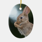 Bunny Rabbit Natuur Foto Keramisch Ornament (Voorkant)