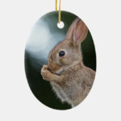 Bunny Rabbit Natuur Foto Keramisch Ornament (Achterkant)