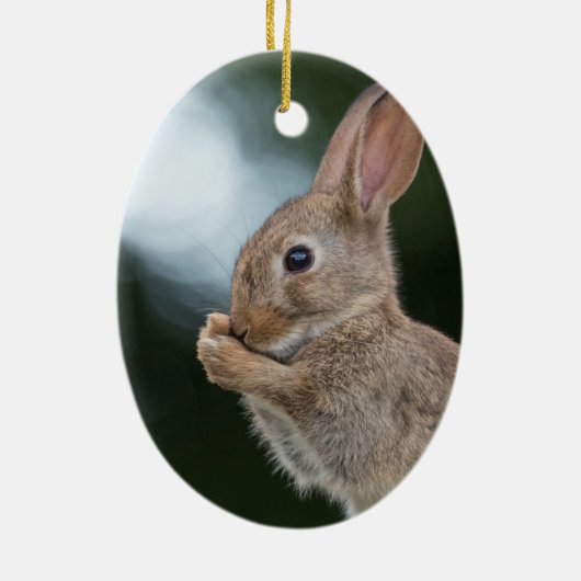 Bunny Rabbit Natuur Foto Keramisch Ornament (Achterkant)