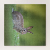 Bunny Rabbit Natuur Foto Legpuzzel (Horizontaal)