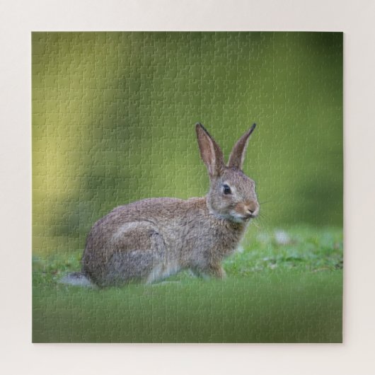 Bunny Rabbit Natuur Foto Legpuzzel (Verticaal)