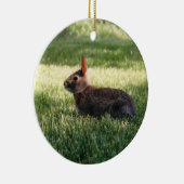 Bunny Rabbit Ornament (Rechts)