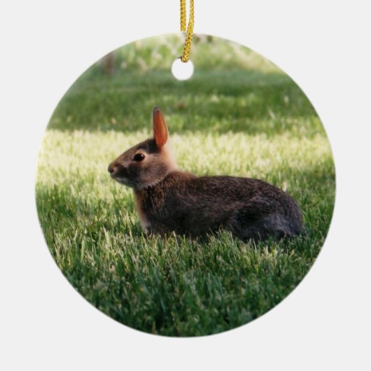 Bunny Rabbit Ornament (Voorkant)