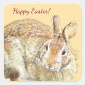 Bunny Rabbit Photo Easter Stickers (Voorkant)