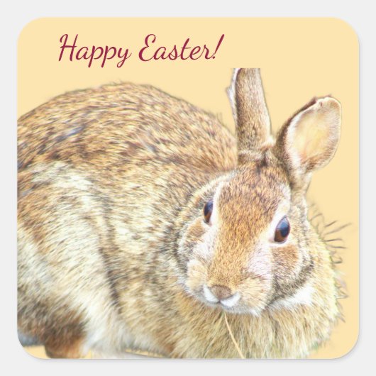 Bunny Rabbit Photo Easter Stickers (Voorkant)