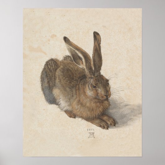  bunny Rabbit Print (Voorkant)