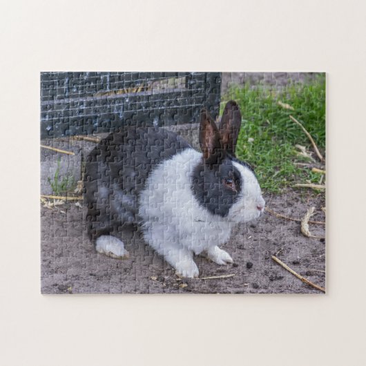 Bunny rabbit puzzle legpuzzel (Horizontaal)