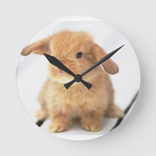 Bunny Rabbit Ronde Klok (Voorkant)
