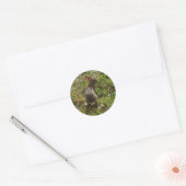 Bunny Rabbit Ronde Sticker (Envelop)