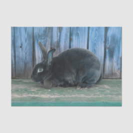 Bunny Rabbit Rustiek Blauwgroen Blauw Groen Land B Tissuepapier