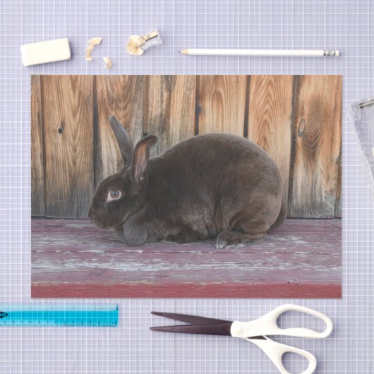 Bunny Rabbit Rustiek Bruin Land Boerderij Tissuepapier (Craft)