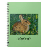 Bunny Rabbit Spiral Photo Notebook Notitieboek (Voorkant)