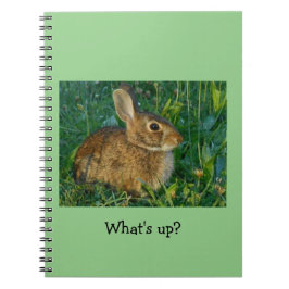 Bunny Rabbit Spiral Photo Notebook Notitieboek