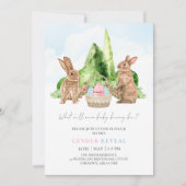 Bunny Rabbit Spring Easter Baby Gender onthullen Kaart (Voorkant)