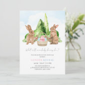 Bunny Rabbit Spring Easter Baby Gender onthullen Kaart (Staand voorkant)