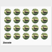 Bunny Rabbit Stickers (Vel)