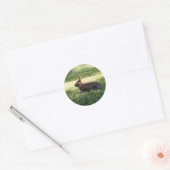 Bunny Rabbit Stickers (Envelop)