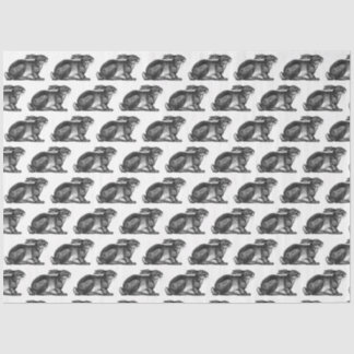 Bunny Rabbit Tissue Paper in Black & White Tissuepapier