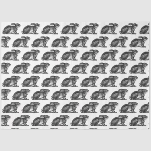 Bunny Rabbit Tissue Paper in Black & White Tissuepapier (Voorkant)