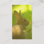 Bunny Rabbit Visitekaartjes (Achterkant)