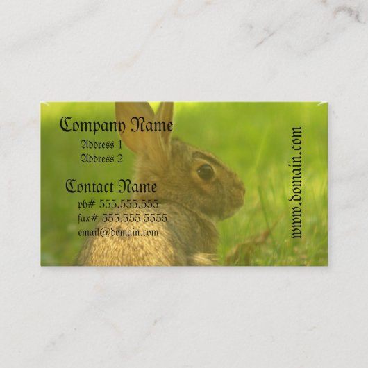 Bunny Rabbit Visitekaartjes (Voorkant)