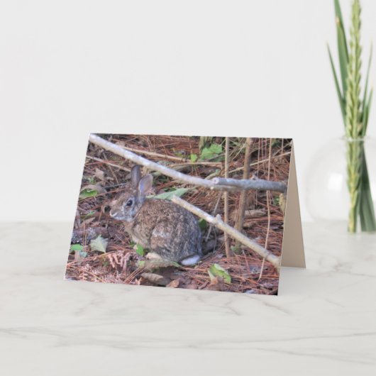 Bunny Rabbit Wenskaart Feestdagen Kaart (Voorkant)