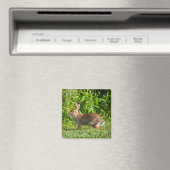 Bunny Rabbit Wildlife Green Natuur Square Magnet (Insitu (Vaatwasser))